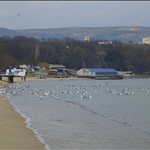 The beach :)