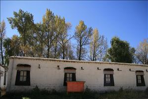 IMG_4673resized.JPG