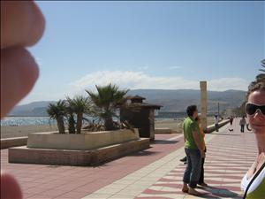 IMG_3412.JPG