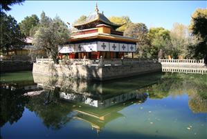 IMG_4625resized.JPG