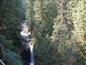 View from Lynn Valley Suspenison Bridge