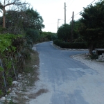 DSC_4264.JPG