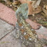 2008_0324SouthAfrica0028.JPG