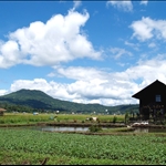 P1012514.JPG