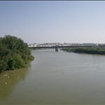 cordoba