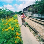 Watsai (Neighborhood) and Watarun
