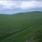 P7080185.JPG