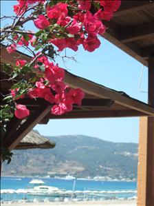 Near to the Sacallis Hotel, Kefalos Bay