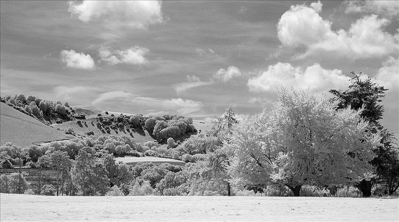 20090818_06