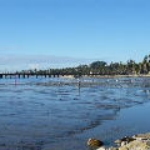 DSCF0762.JPG