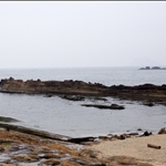 IMG_7917.JPG