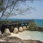 Prison Island