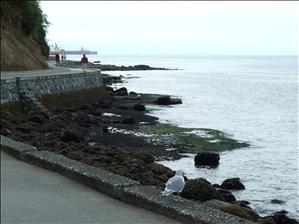 DSCF0799.JPG