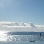 DSCF0771.JPG
