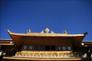 IMG_4613resized.JPG