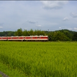 P1010444.jpg