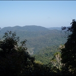 Kuranda rainforest
