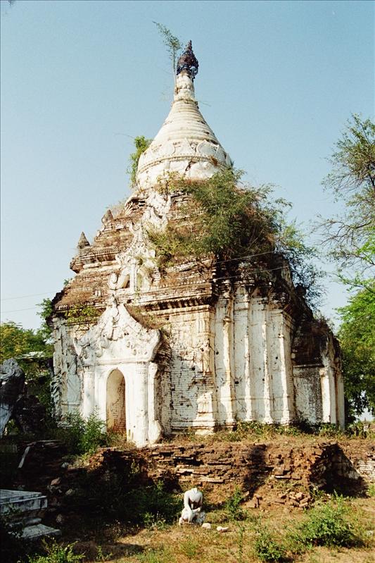 149.JPG