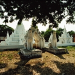 144.JPG