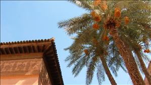 DSCF5640.JPG