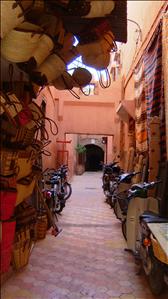 DSCF5603.JPG