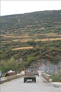 IMG_1599resized.JPG