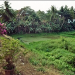 127.JPG