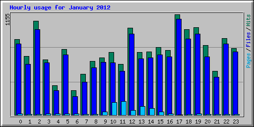 Hourly usage for January 2012