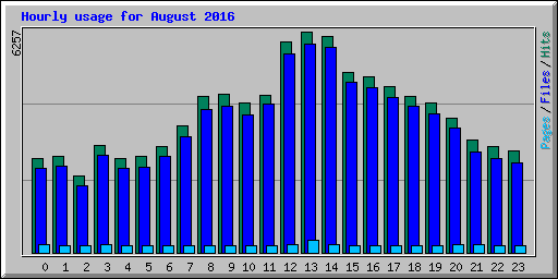 Hourly usage for August 2016