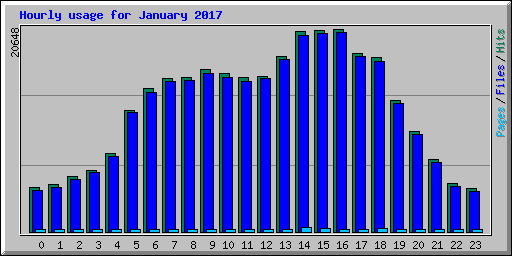 Hourly usage for January 2017