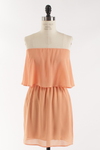 2840-APRICOT