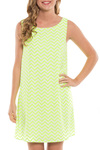 2855-LIME