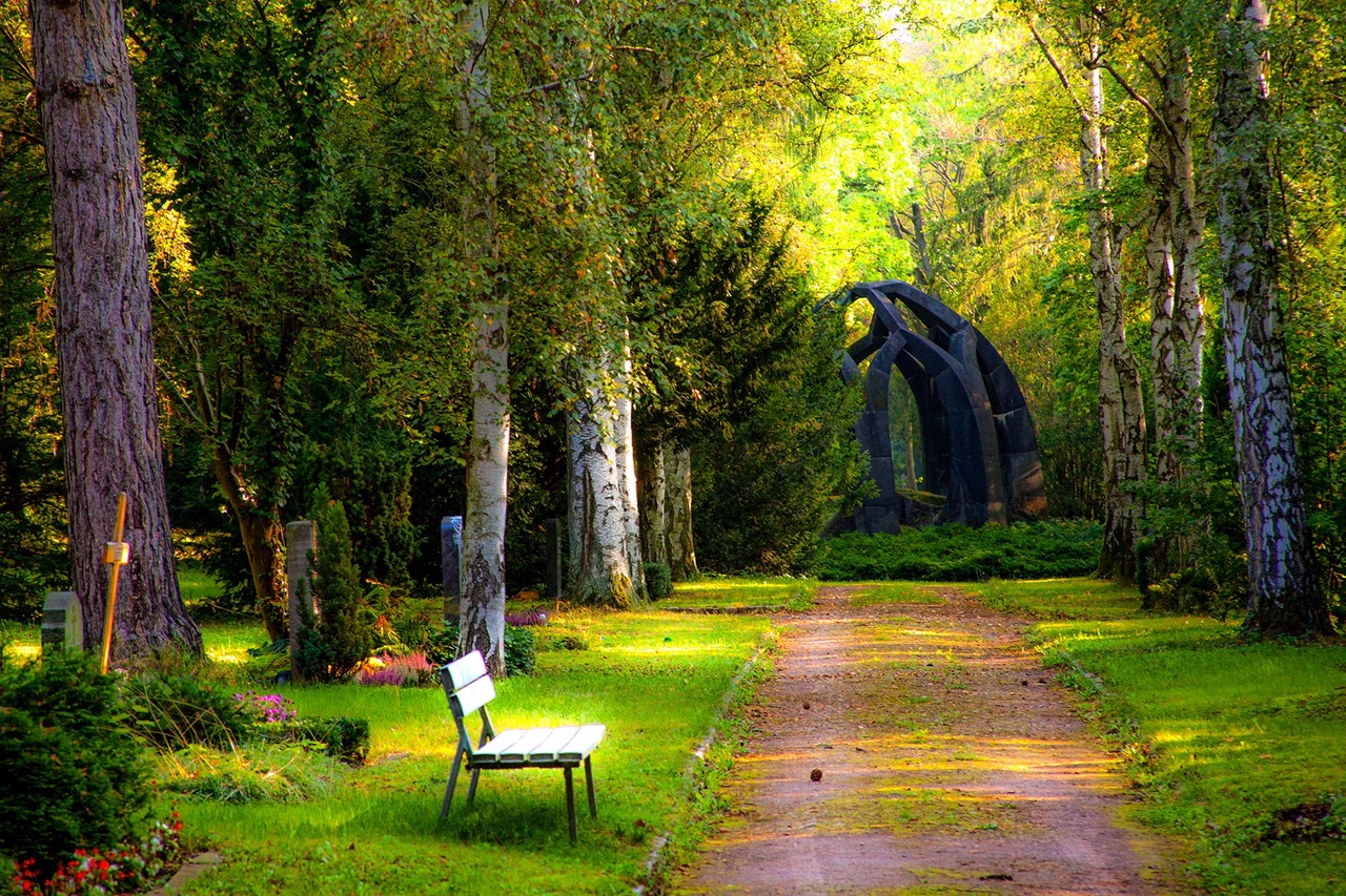 empty-bench