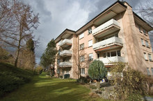 Webwiesenrain01