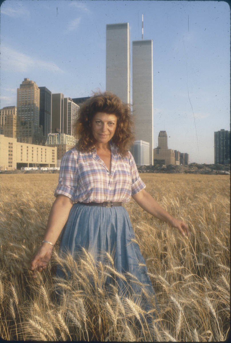 Wheatfields A Confrontation Agnes Denes 1982