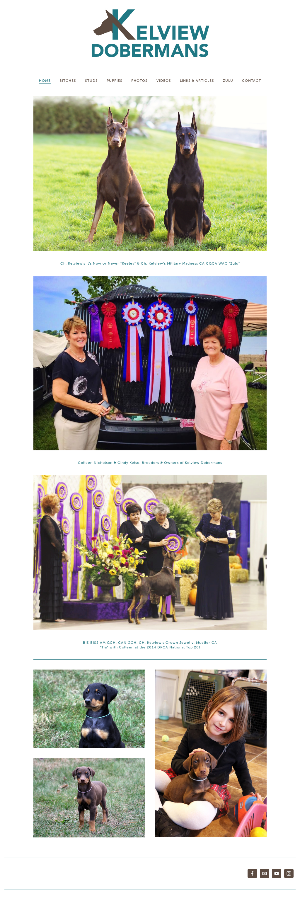 kelview dobermans
