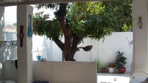 Concepcion%201