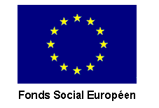 http://s3.amazonaws.com/innovosud/pictures/34/logo_drapeau_fse.gif