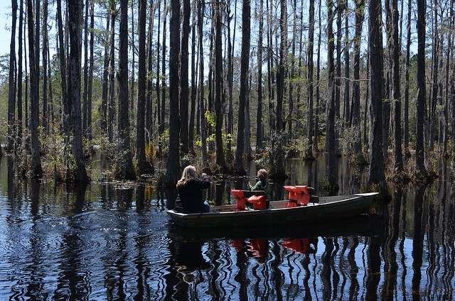 These Are The 5 Best Places To Live Near Charleston, SC For Young