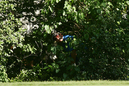 1478_thumb