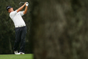 233_thumb