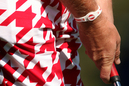 2813_thumb