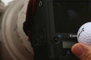 2931_thumb