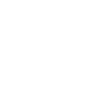 Bradley University