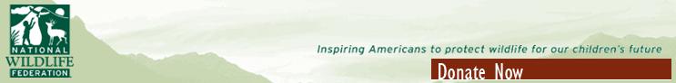 National Wildlife Federation