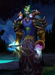 Buying WoW Account Level 80 Male Night Elf Druid (PvE)