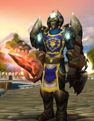 Buying WoW Account Level 80 Male Human Warrior (PvP)