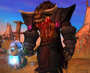 Cheap WoW Accounts Level 80 Male Tauren Druid (PvP)