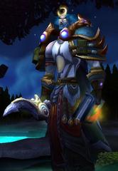 Cheap WoW Accounts Level 80 Male Night Elf Druid (PvP)
