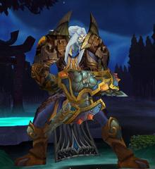 Cheap WoW Accounts Level 80 Male Night Elf Hunter (PvE)